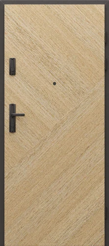PORTA EI 60, model din catalog